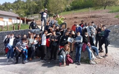 Le classi 3° medie alla scoperta di Trento e Rovereto