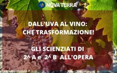 Dall’uva al vino! gli scienziati di 2°a e 2°b scoprono una trasformazione naturale