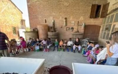 Seconde Primaria – La vendemmia