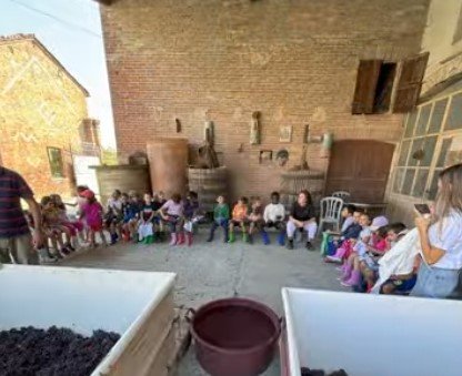 Seconde Primaria – La vendemmia