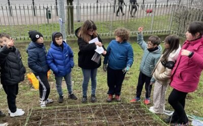 Aspettando la Primavera