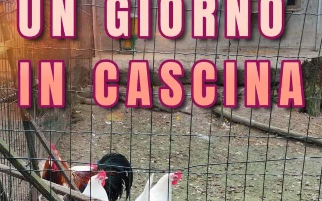 Un giorno in cascina