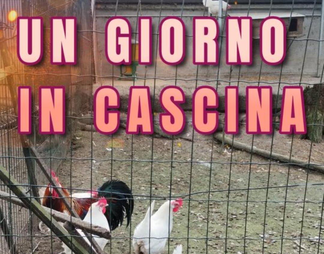 Un giorno in cascina